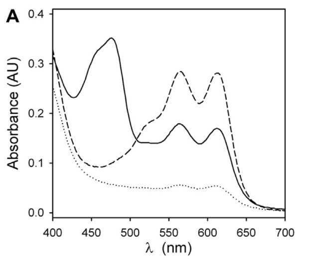 Espectro de los productos de COX sobre araquidónico en presencia y ausencia de betalaínas